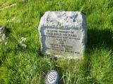 image of grave number 116892